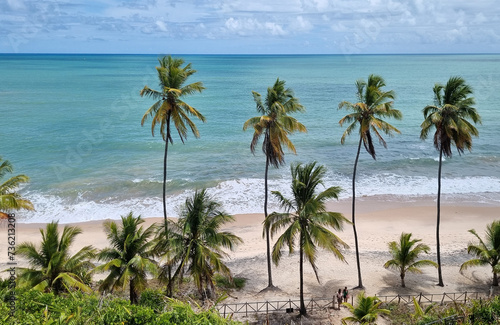 Visão geral de praia, com água limpa, ondas quebrando e coqueiros no litoral do estado da Paraíba, Brasil. photo