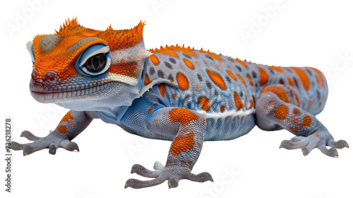 A vibrant gecko stands out against a dark canvas, showcasing the beautiful diversity of the animal kingdom