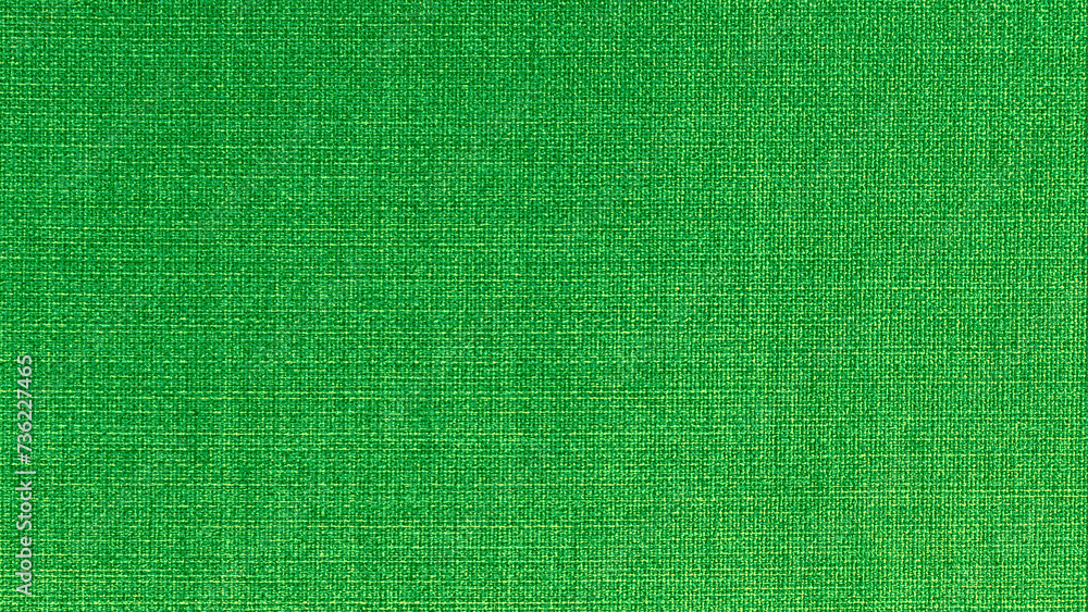 Fototapeta premium green texture background