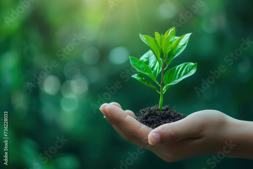 Sustainability and ESG Focus: Environmental, Social, and Governance (ESG) considerations may become even more central to business strategies photo