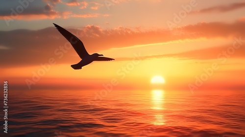 Bird flying sunset flight inspirational 
