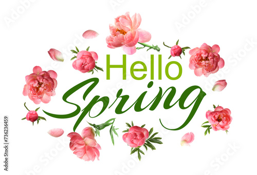 Hello Spring card design with beautiful peonies on white background