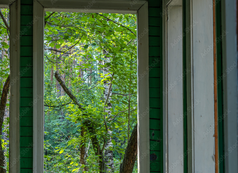 View from the window of the house to the green forest.