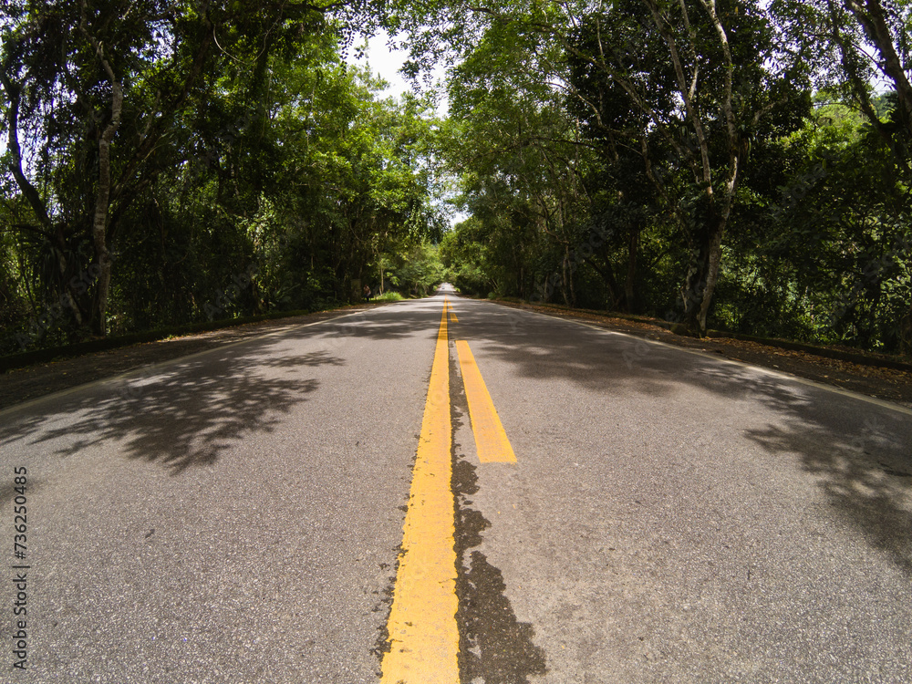 empty road empty road