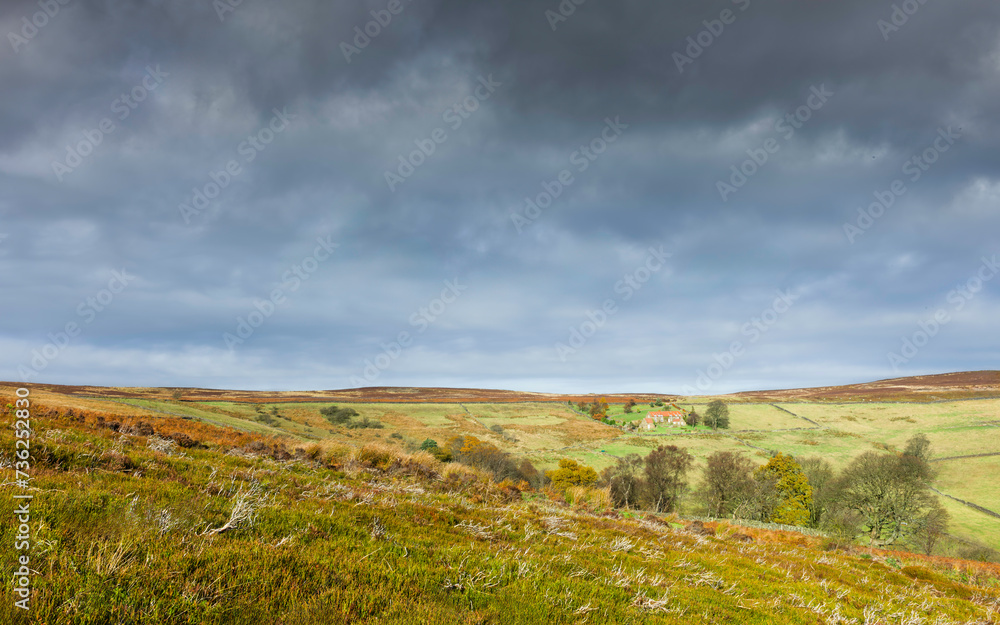 Moorland landscape with heather, fields, trees, under cloudy sky. Glaisdale, UK.