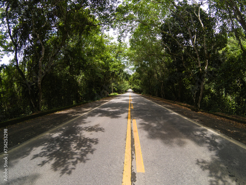 road through the forest © Leonardo Araújo