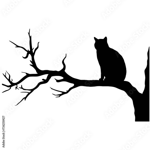 Cat sitting on tree branch