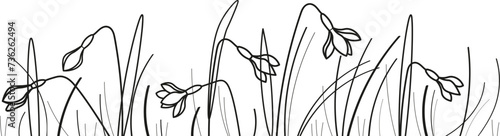 Field with wildflowers snowdrops plants ink sketch hand drawn banner white background vector illustration. Design  floral pattern with black line silhouette of glade snowdrops flowers, spring texture