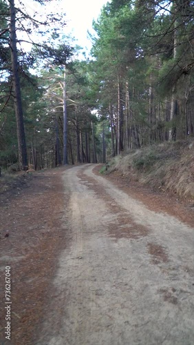 Slow motion, POV view, walking along a path on the woods. photo