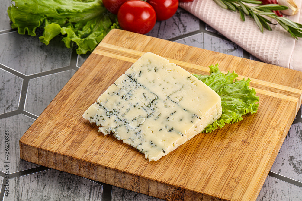 Gourmet blue cheese with mold Gourmet blue cheese with mold
