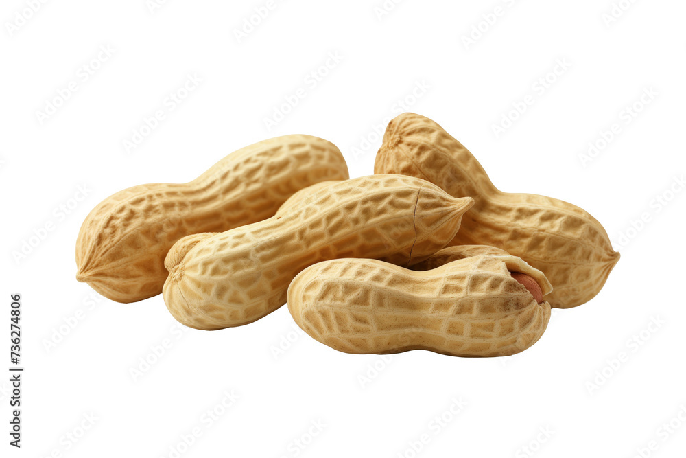Peanuts in shell isolated Peanuts in shell isolated