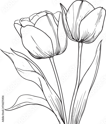 Black contour of a tulip flower. Vector line art illustration #736275456