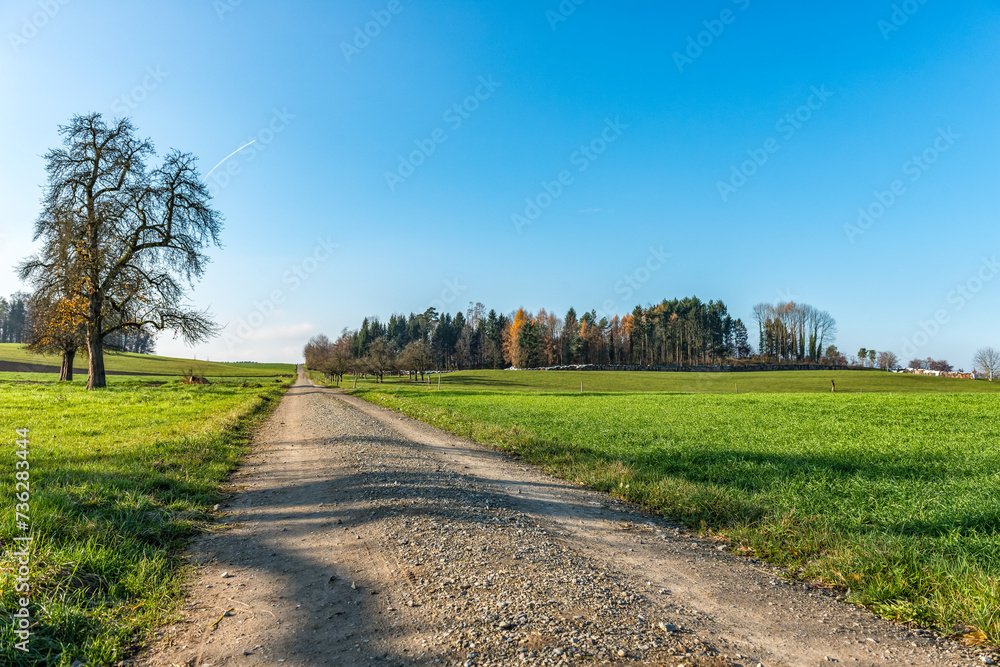 Obraz premium Feldweg mit blauem Himmel