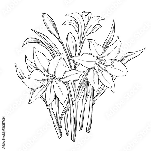 white lily illustration boquet design