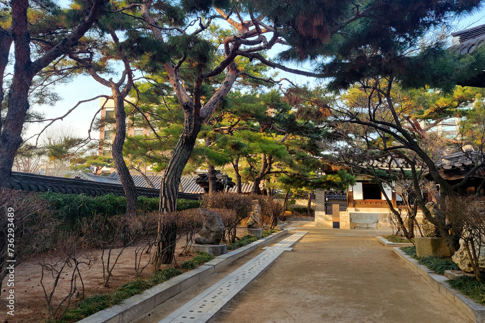 Hanok, Bukchon Hanok Village, alley, landscape, pine tree, ancient ambience, Korean traditional houses, Korean roof tile, palace