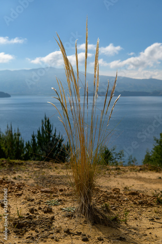 Laguna de tota- Boyaca- Paisaje