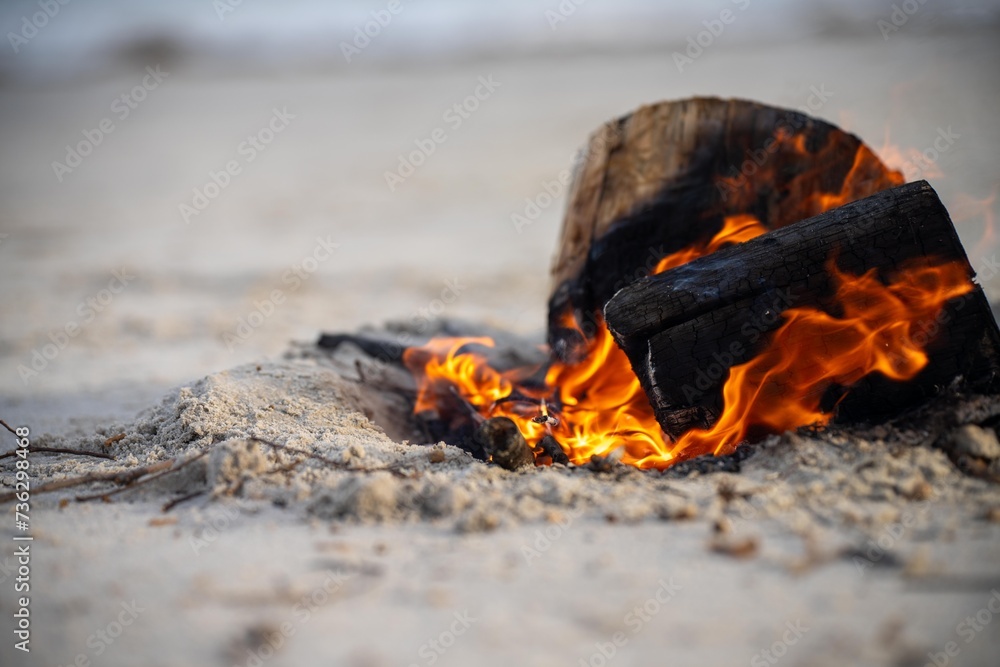 fire on the sand in australia. campfire on a beach in summer fire on the sand in australia. campfire on a beach in summer