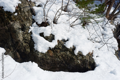 A view of a garden with snow stuck on it.