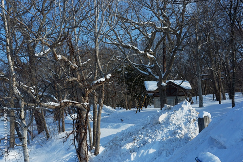 A view of a garden with snow stuck on it.