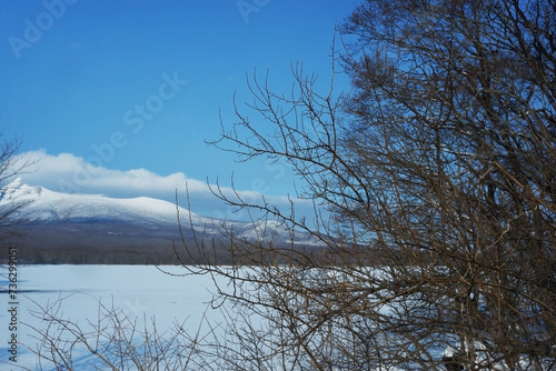 A view of a garden with snow stuck on it.