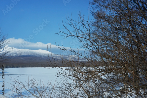 A view of a garden with snow stuck on it.