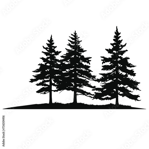 
forest silhouette
