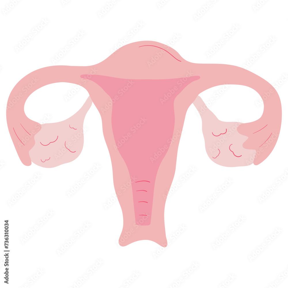 menstruation element menstruation element