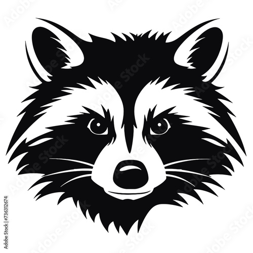 raccoon head 