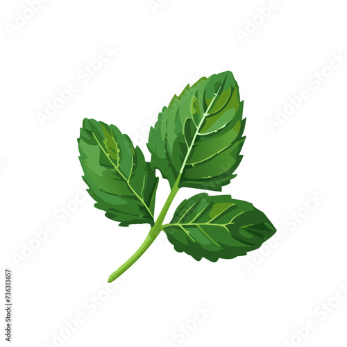 Lush Peppermint Leaf Illustration