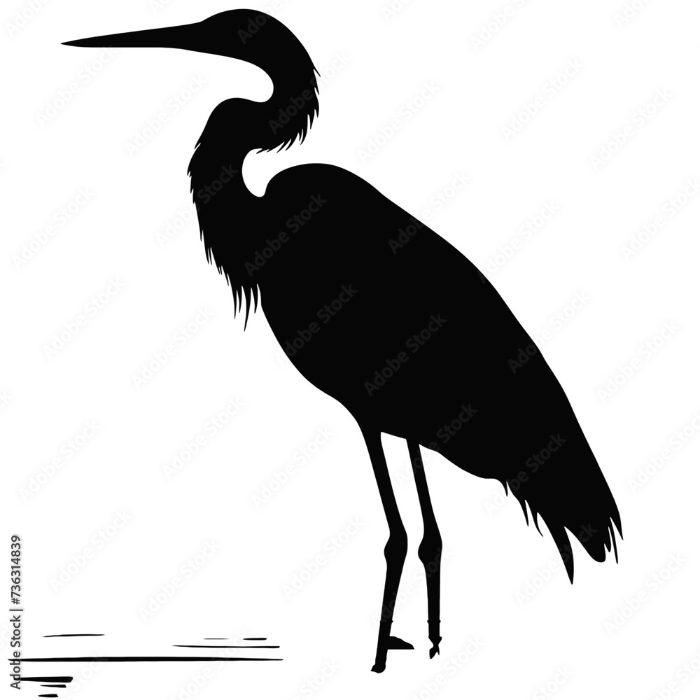 pelican silhouette