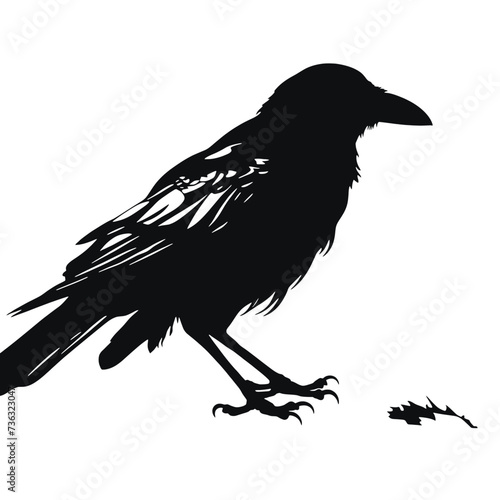 crow Silhouette 