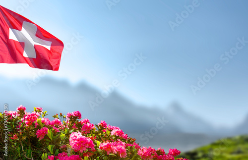 Schweizer Flagge mit Alpenrosen und Berg
