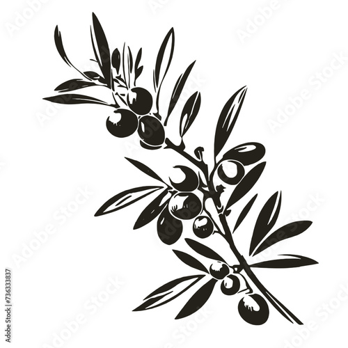 olive branch with olives