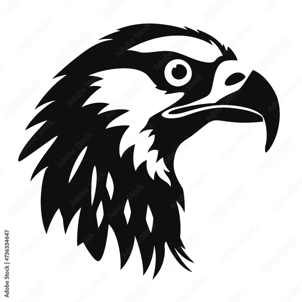 Fototapeta premium eagle head isolated on white