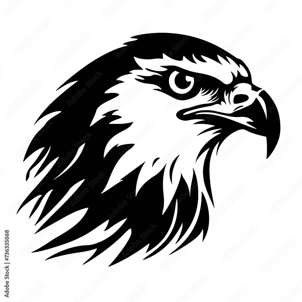 eagle head isolated on white