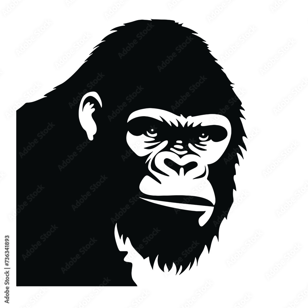gorilla head illustration