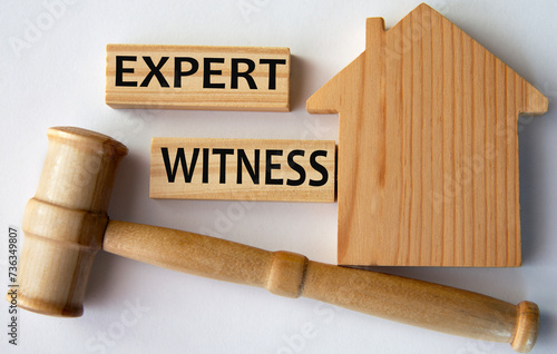 EXPERT WITNESS - word on a wooden block on the background of a house and a referee's gavel