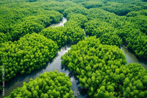 Drone captures lush mangrove forest from above, highlighting nature's role in carbon capture for a sustainable, net-zero future. © Kwanruethai