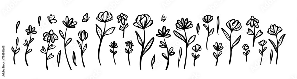 Doodle flower set, vector floral illustrations with butterflies, spring graphic elements, isolated border design Doodle flower set, vector floral illustrations with butterflies, spring graphic elements, isolated border design