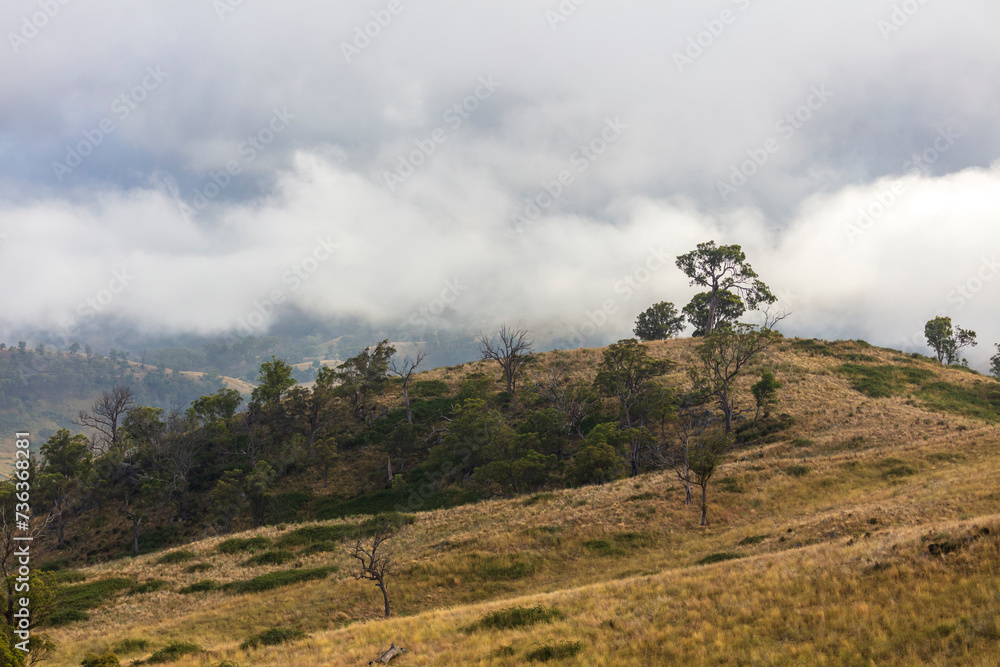 Photograph of low hanging white clouds in an agricultural valley in the Blue Mountains in New South Wales in Australia