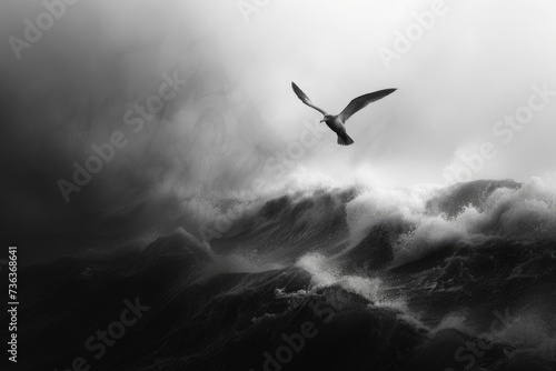 A storm petrel gracefully gliding above turbulent waves during a storm photo