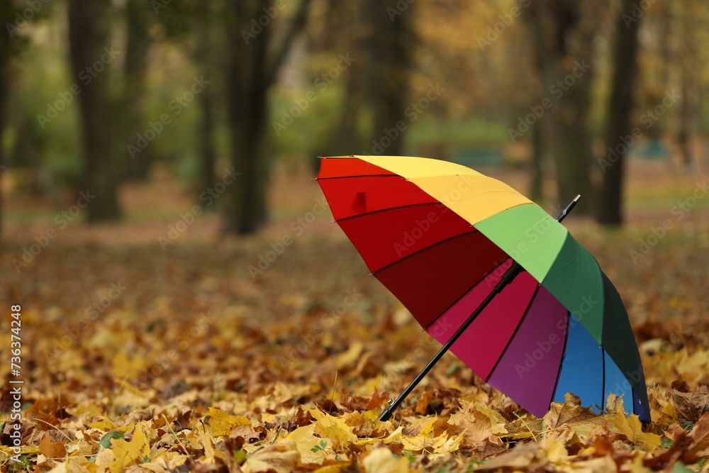 Open rainbow umbrella on fallen leaves in autumn park, space for text