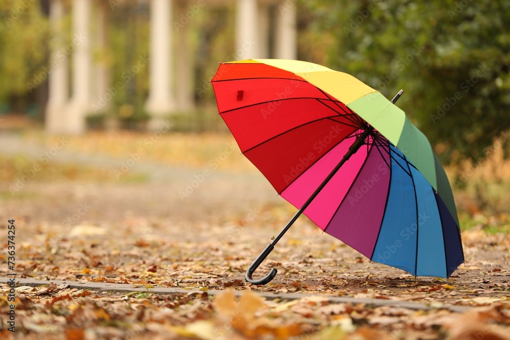 Open rainbow umbrella on fallen leaves in autumn park, space for text