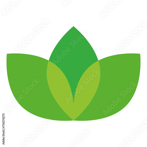 green leaf icon