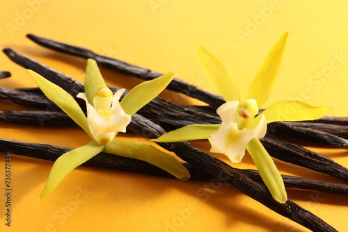 Vanilla pods and beautiful flowers on yellow background, closeup