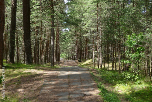 Wanderweg kurische Nehrung - Pervalka photo