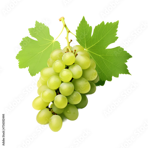 Green grapes with leaf soft smooth lighting