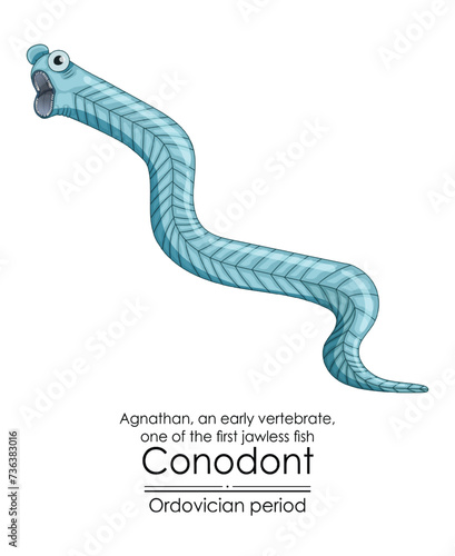 Conodont an Ordovician period jawless vertebrate. Colorful illustration on a white background photo