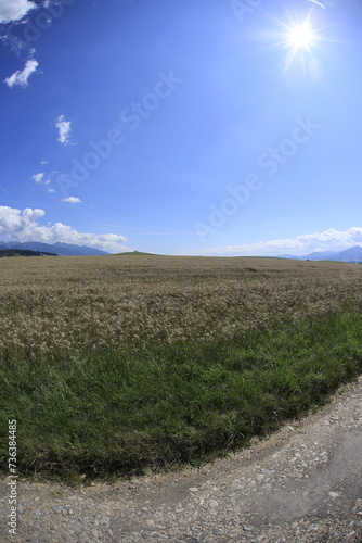 Slovakia landscape, Tatra mountains in august