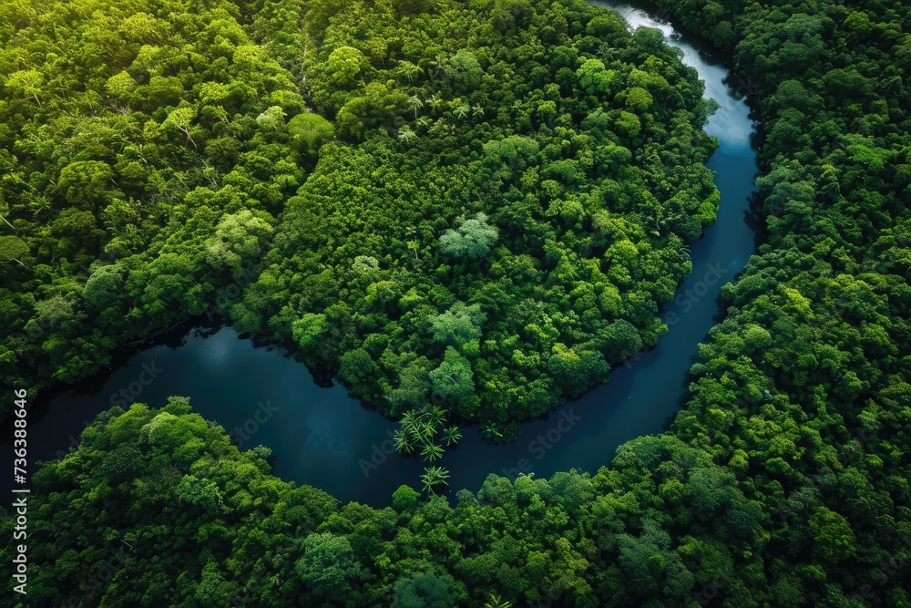 A winding river cuts through a rich and dense green forest, creating a striking contrast of blue waters against lush vegetation, Aerial view of a winding river through a lush rainforest, AI Generated
